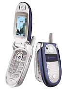 Best available price of Motorola V560 in S111